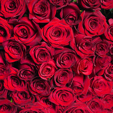 Load image into Gallery viewer, VRF 100 Premium Fresh Red Roses Bouquet