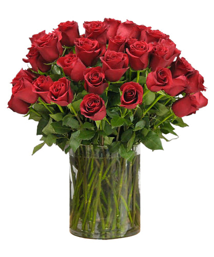 Radiant Red Roses